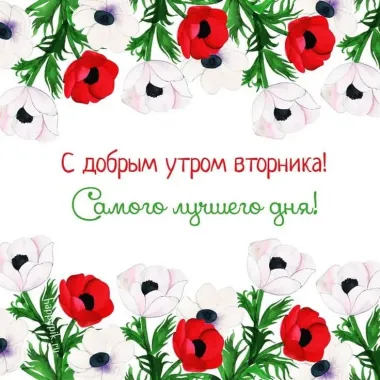 Открытка с пожеланиями Вторник
