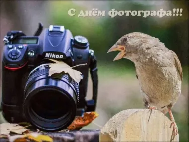Открытка с пожеланиями Поздравление, красивое пожелание Прикольная открытка с стильно, прикольно, коротко, своими словами