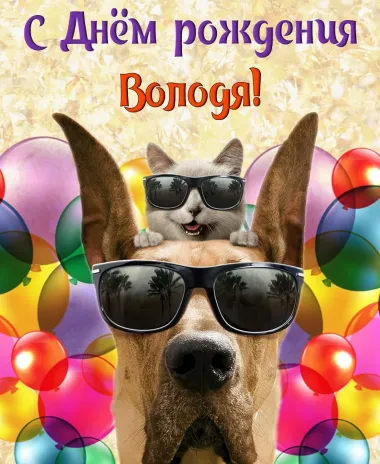 Открытка с пожеланиями Поздравление, красивое пожелание Прикольная открытка с днем стильно, прикольно, коротко, своими словами