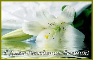 Открытка с пожеланиями Поздравление, красивое пожелание Яркая картинка с днем стильно, прикольно, коротко, своими словами