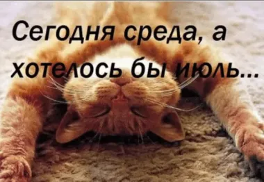 Открытка с пожеланиями Доброе утро