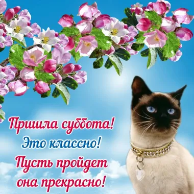 Открытка с пожеланиями Суббота