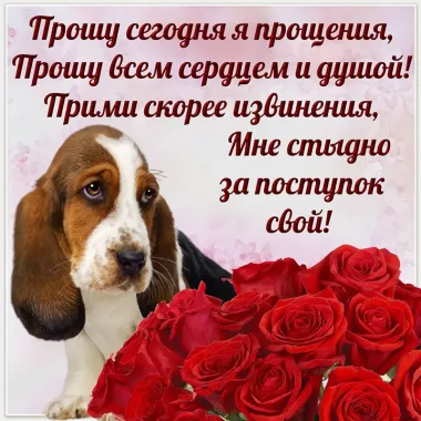 Открытка с пожеланиями Прости меня