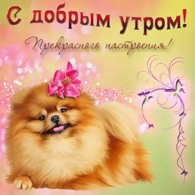 Открытка с пожеланиями Доброе утро