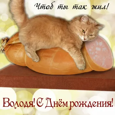 Открытка с пожеланиями Поздравление, красивое пожелание Прикольная открытка володя, с стильно, прикольно, коротко, своими словами