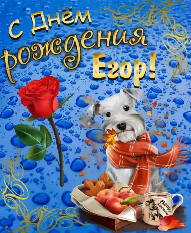 Открытка с пожеланиями Поздравление, красивое пожелание Прикольная картинка с днем стильно, прикольно, коротко, своими словами