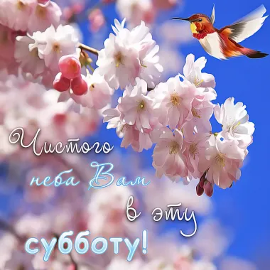 Открытка с пожеланиями Суббота