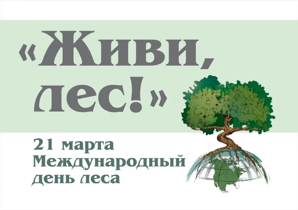 Открытка с пожеланиями Поздравление, красивое пожелание Открытка на международный стильно, прикольно, коротко, своими словами