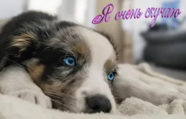 Открытка с пожеланиями Поздравление, красивое пожелание Я стильно, прикольно, коротко, своими словами