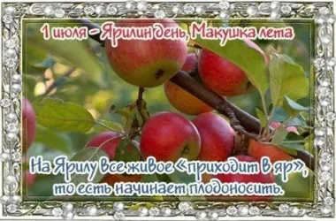 Макушка лета