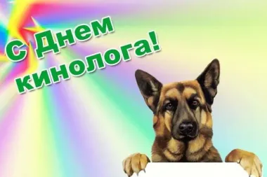 Открытка с пожеланиями Поздравление, красивое пожелание Яркая картинка на стильно, прикольно, коротко, своими словами