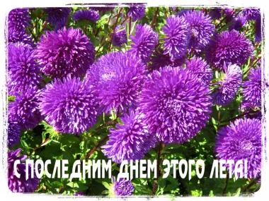 Открытка с пожеланиями Поздравление, красивое пожелание С последним днем стильно, прикольно, коротко, своими словами