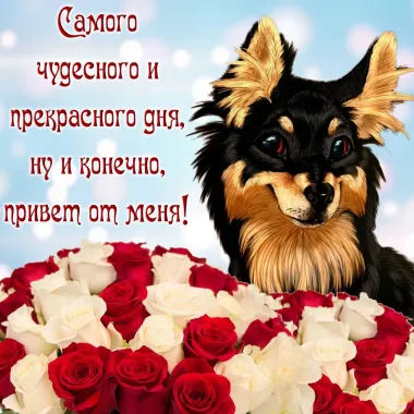 Открытка с пожеланиями Поздравление, красивое пожелание Открытка с пожеланиями Самого чудесного и стильно, прикольно, коротко, своими словами