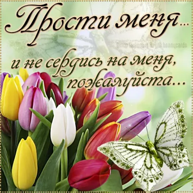 Открытка с пожеланиями Прости меня