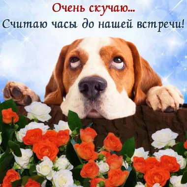 Открытка с пожеланиями Поздравление, красивое пожелание  стильно, прикольно, коротко, своими словами