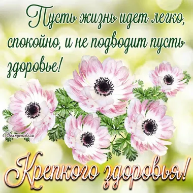 Открытка с пожеланиями Здоровья