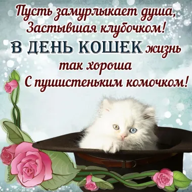 Открытка с пожеланиями Поздравление, красивое пожелание Красивая картинка в стильно, прикольно, коротко, своими словами