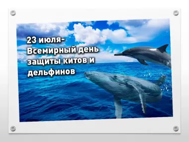 Открытка с пожеланиями Поздравление, красивое пожелание Открытка на всемирный день китов стильно, прикольно, коротко, своими словами