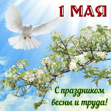 Открытка с пожеланиями Поздравление, красивое пожелание Открытка с праздником весны и труда стильно, прикольно, коротко, своими словами