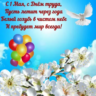 Открытка с пожеланиями Поздравление, красивое пожелание Поздравительная открытка стильно, прикольно, коротко, своими словами