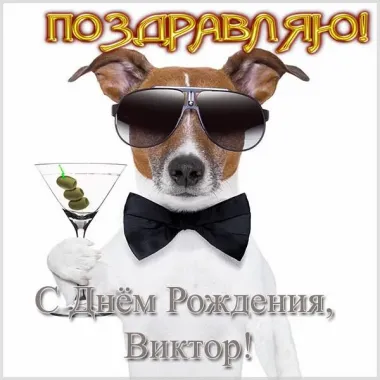 Открытка с пожеланиями Поздравление, красивое пожелание Прикольная открытка с днем стильно, прикольно, коротко, своими словами