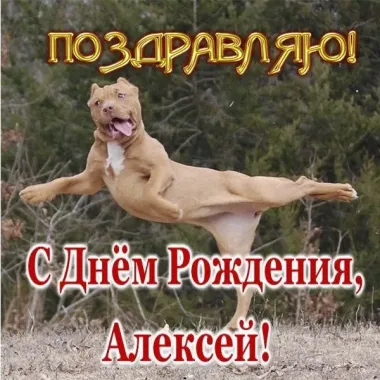 Открытка с пожеланиями Поздравление, красивое пожелание Картинка поздравляю с днем стильно, прикольно, коротко, своими словами