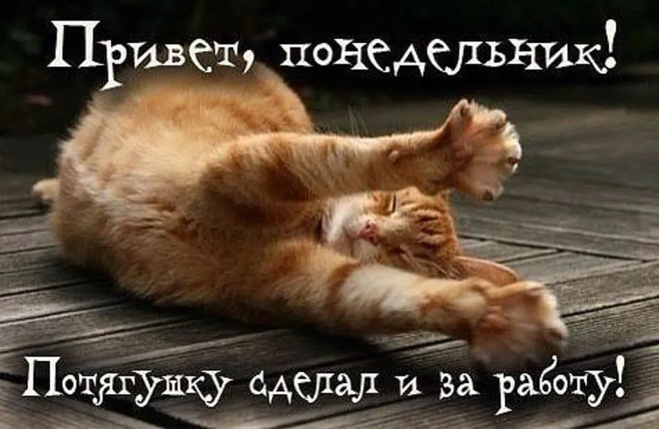 Открытка с пожеланиями 