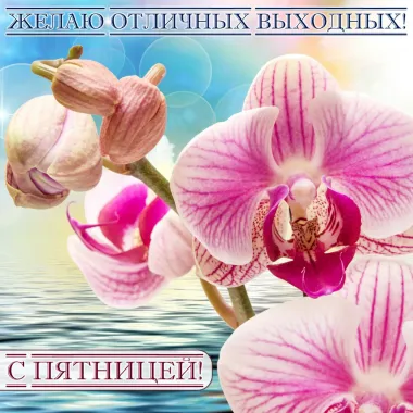 Открытка с пожеланиями Поздравление, красивое пожелание  стильно, прикольно, коротко, своими словами