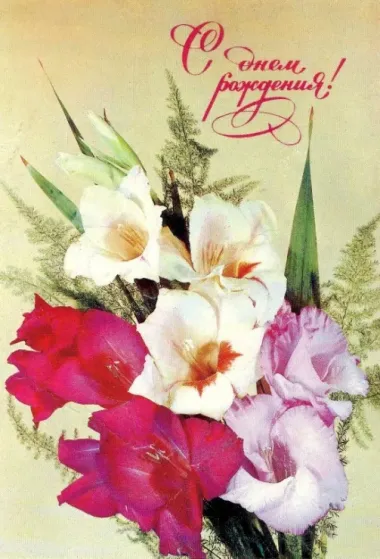 Открытка с пожеланиями Поздравление, красивое пожелание Картинка с гладиолусами с стильно, прикольно, коротко, своими словами