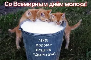 Открытка с пожеланиями Поздравление, красивое пожелание Прикольная открытка со всемирным стильно, прикольно, коротко, своими словами