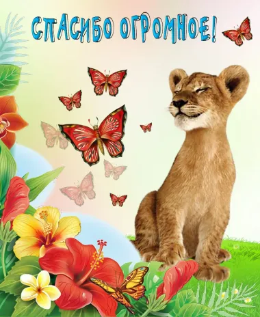 Открытка с пожеланиями Спасибо