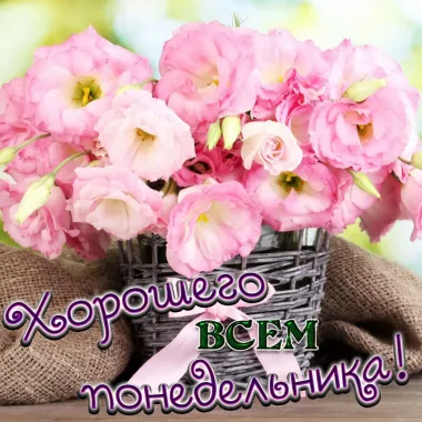 Открытка с пожеланиями Поздравление, красивое пожелание Картинка стильно, прикольно, коротко, своими словами