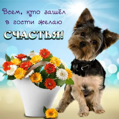 Открытка с пожеланиями Поздравление, красивое пожелание Прикольная открытка стильно, прикольно, коротко, своими словами