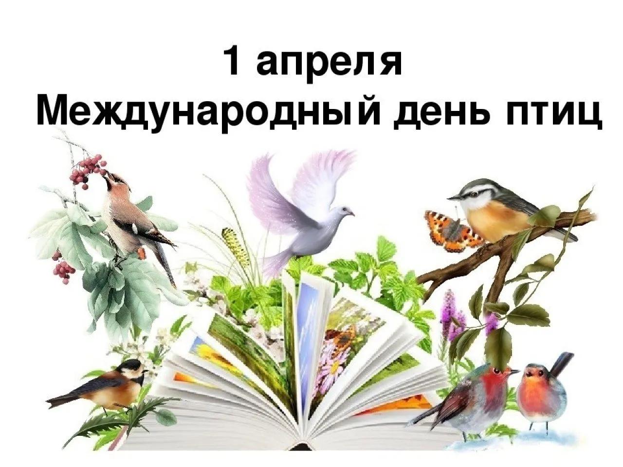 Открытка с пожеланиями Поздравление, красивое пожелание Открытка с международным стильно, прикольно, коротко, своими словами