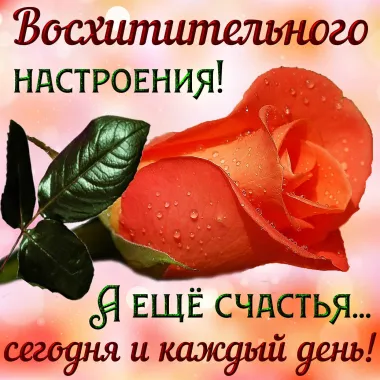 Открытка с пожеланиями Хорошего настроения