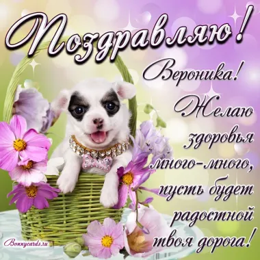Открытка с пожеланиями Поздравление, красивое пожелание Нежная поздравительная открытка веронике в стильно, прикольно, коротко, своими словами