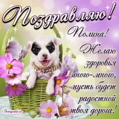 Открытка с пожеланиями Поздравление, красивое пожелание Прикольная картинка полине на стильно, прикольно, коротко, своими словами