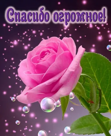 Открытка с пожеланиями Спасибо