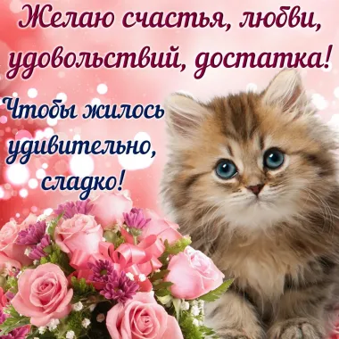 Открытка с пожеланиями Поздравление, красивое пожелание Желаю стильно, прикольно, коротко, своими словами