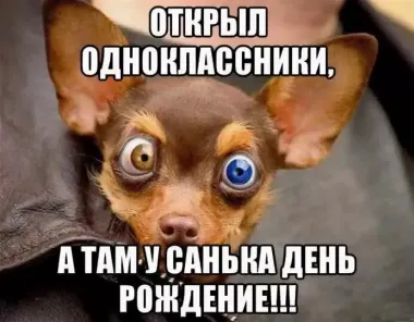 Открытка с пожеланиями Поздравление, красивое пожелание Санька, с стильно, прикольно, коротко, своими словами