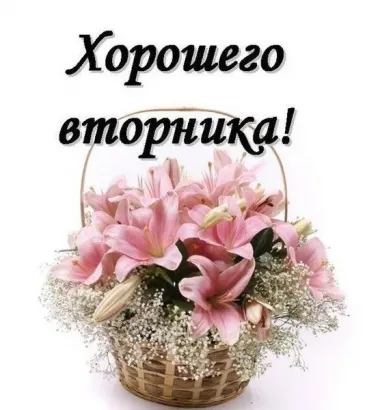 Открытка с пожеланиями Вторник