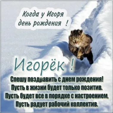 Открытка с пожеланиями Поздравление, красивое пожелание Смешная поздравительная картинка с днем стильно, прикольно, коротко, своими словами
