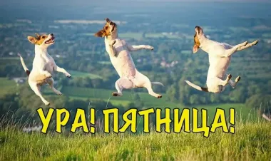 Открытка с пожеланиями Поздравление, красивое пожелание  стильно, прикольно, коротко, своими словами