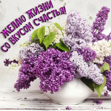 Открытка с пожеланиями Поздравление, красивое пожелание Скачать картинку с пожеланиями Желаю жизни со стильно, прикольно, коротко, своими словами