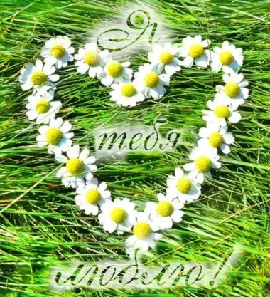 Открытка с пожеланиями Поздравление, красивое пожелание Картинка с стильно, прикольно, коротко, своими словами