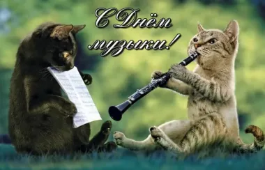 Открытка с пожеланиями Поздравление, красивое пожелание Прикольная открытка с стильно, прикольно, коротко, своими словами