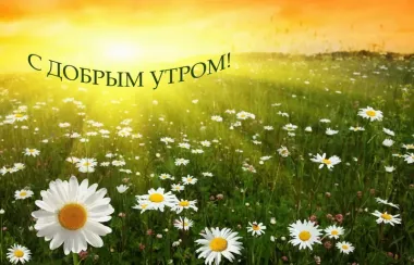 Открытка с пожеланиями Доброе утро