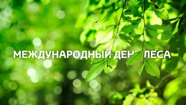 Открытка с пожеланиями Поздравление, красивое пожелание Открытка международный стильно, прикольно, коротко, своими словами