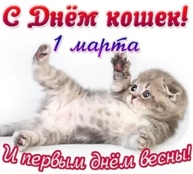 Открытка с пожеланиями Поздравление, красивое пожелание Скачать открытку с стильно, прикольно, коротко, своими словами