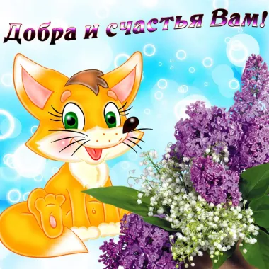 Открытка с пожеланиями Поздравление, красивое пожелание Пожелаю Добра и стильно, прикольно, коротко, своими словами